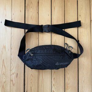 Gregory Nano Waistpack 4L